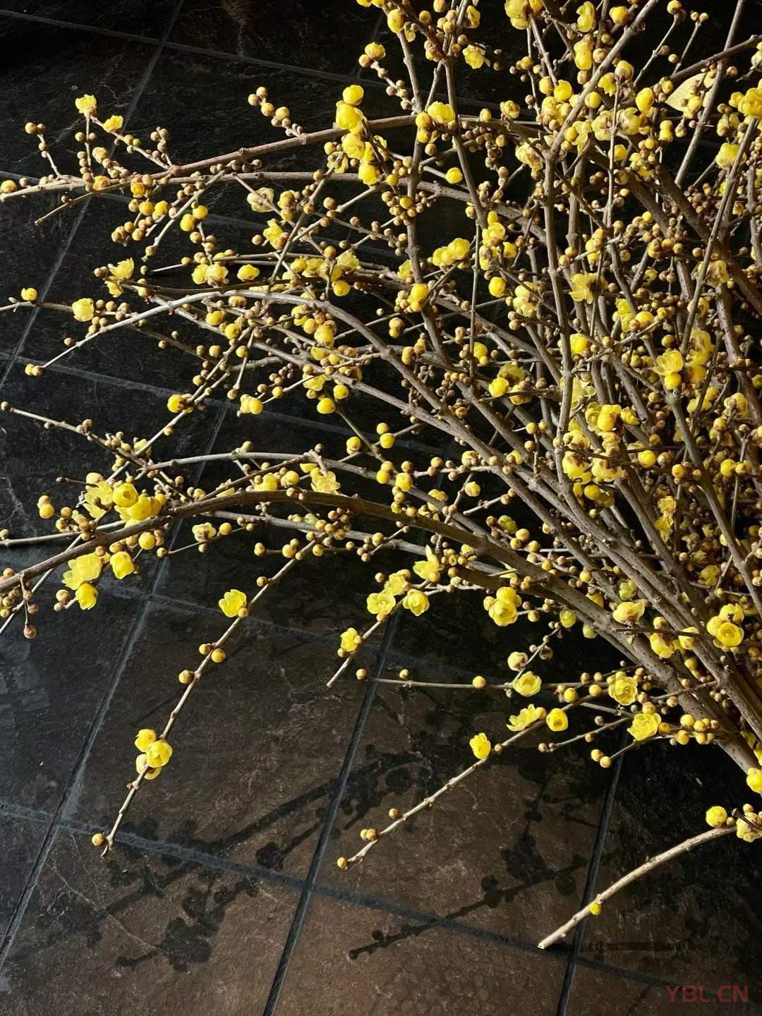 傷人的，負面的，頹廢不積極的話，我從來是不舍得多說的